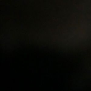 Meet your Posher, Ella